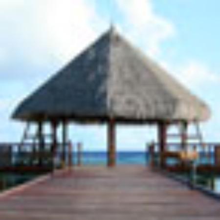 Castaway Bar & Restaurant