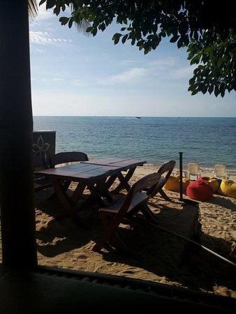 Natural Wing's Beach Bar