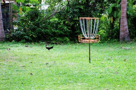 Samui Disc Golf