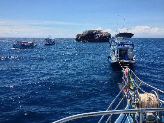 Koh Samui Easy Divers