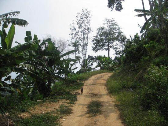Hiking on Samui - Day Tours