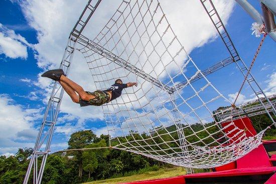Ninja Warrior