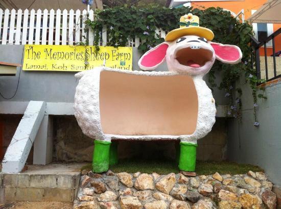 The Memories Sheep Farm
